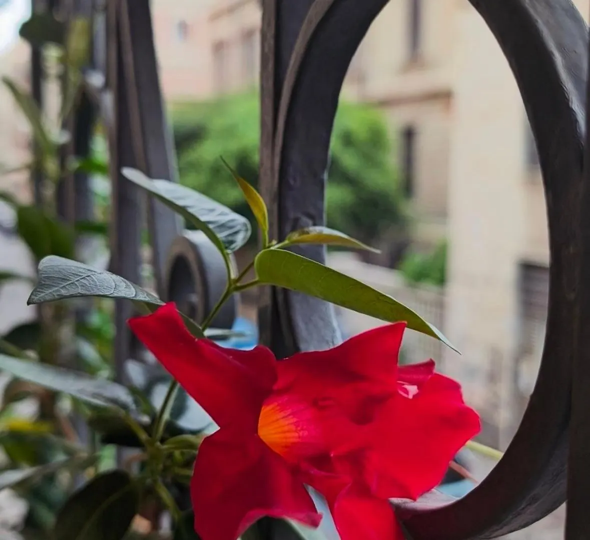 Art Palace Apartment City Center Catania 0*,